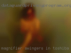 Magnifier swingers in toshiba computer.